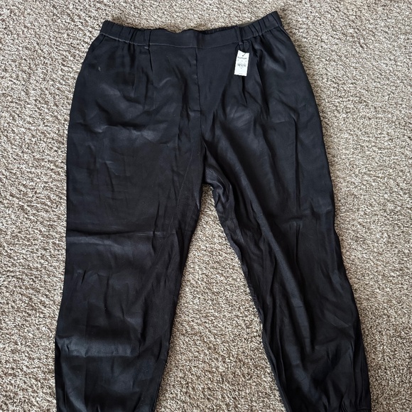 Express Joggers (NWT) - Picture 1 of 3